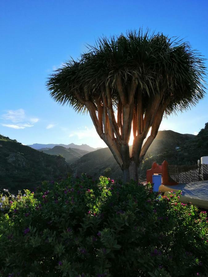 Vivelorural Casa La Cuevita, Santa Brigida Eksteriør bilde