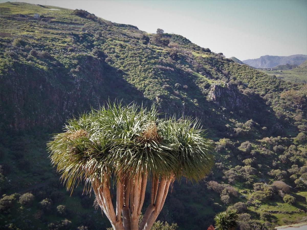 Vivelorural Casa La Cuevita, Santa Brigida Eksteriør bilde